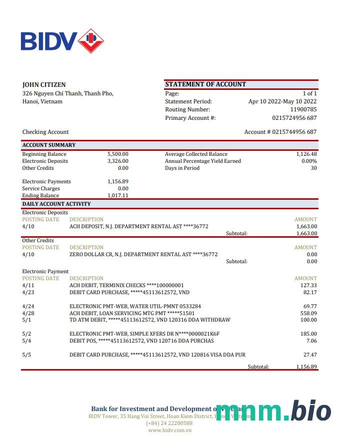 Wyciąg bankowy Vietnam BIDV, szablon Excel i PDF